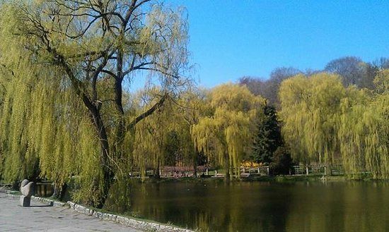 Piesze wędrówki po Starówce